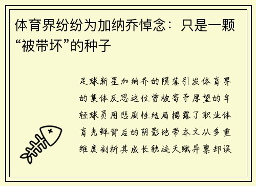 体育界纷纷为加纳乔悼念：只是一颗“被带坏”的种子